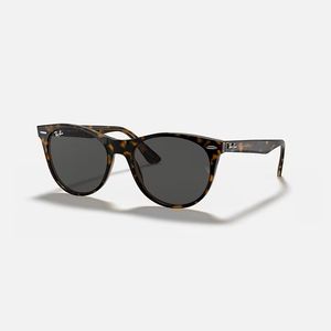 Ray-Ban Wayfarer II Sunglasses