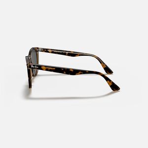 Ray-Ban Wayfarer II Sunglasses