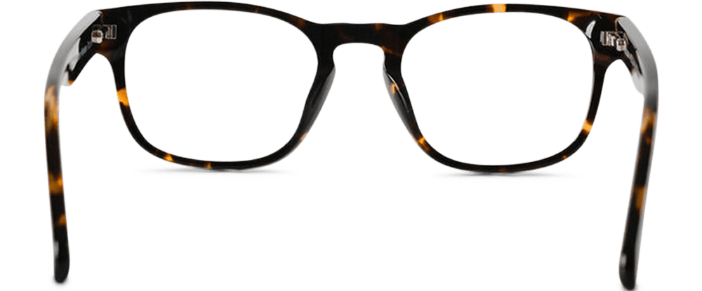Nelson-Larson-Reading-Glasses-Havana-Tortoise-Back-View